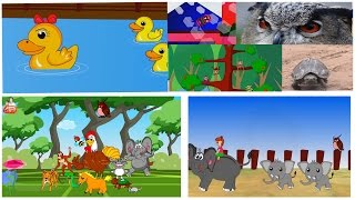 รวมเพลงเด็ก เพลงเป็ดอาบน้ำในคลอง ช้าง ก ไก่ เต่า ลิง แมงมุม ฟังกันยาวๆ เกือบ 30 นาทีเลยจ๊า