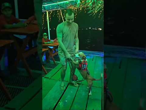 Isla de Flores Petén 🇬🇹#storytime #familiamulticultural #guatemala  #florespeten  #brasileñoychapina