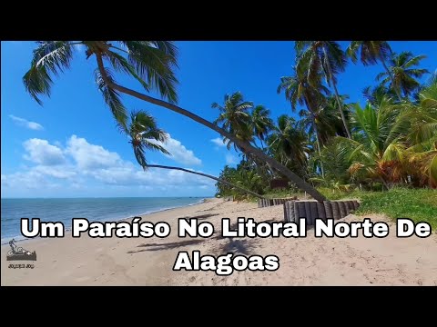 The Beaches of Porto De Pedras in Alagoas