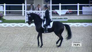 Noble Dream à la retraite