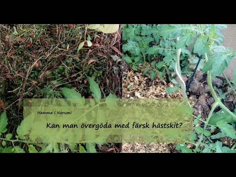Kan man övergöda med färsk hästskit?