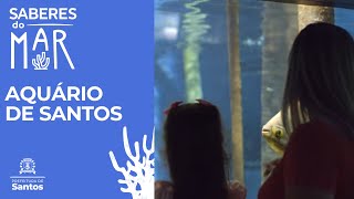 Saberes do Mar - Aquário Santos