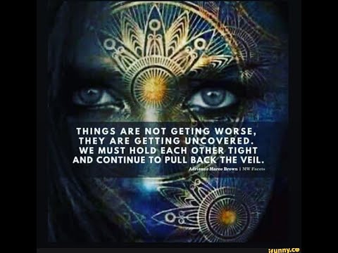 Effects of Your Light; things are not getting worse... 14-9 Adamus, The Art of Benching 9, June 2022