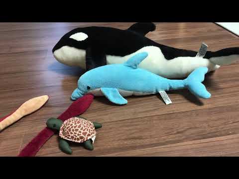 colossal squid vs everyone (even giraffe )