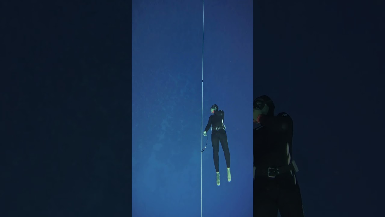 FIM — Never stop training