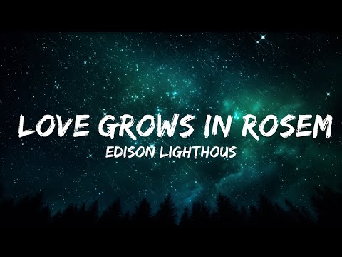 Edison Lighthouse, Club Report - Love Grows In Rosemary's Disco (Lyrics)  | 30mins - Feeling your
