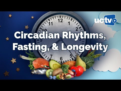 Circadian Rhythm and Intermittent Fasting for Healthy Lifespan