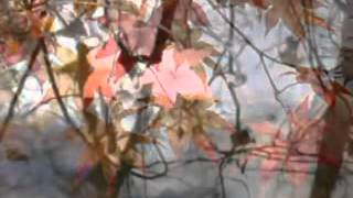 Download lagu Semusim ___ Berlian Hutauruk mp3