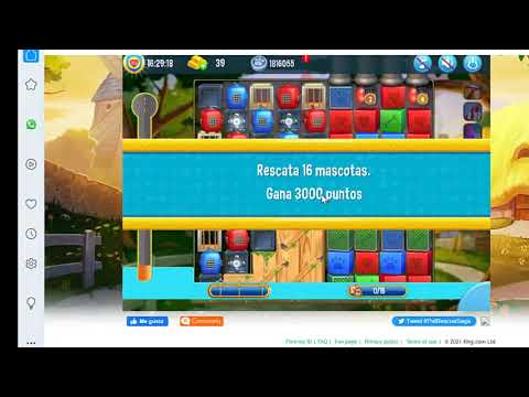 Pet Rescue level 5460, pet rescue, nivel 5460 pet rescue solucionado, solved, sin booster 5460, 5460