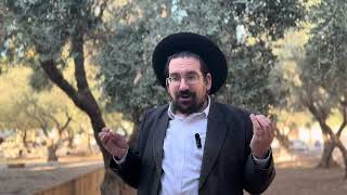 מלאכי זועק: למה תעמדו בחוץ ותשלחו את הפחותים? | הרב אליהו ובר (ישיבת הר הבית) - התמונה מוצגת ישירות מתוך אתר האינטרנט יוטיוב. זכויות היוצרים בתמונה שייכות ליוצרה. קישור קרדיט למקור התוכן נמצא בתוך דף הסרטון