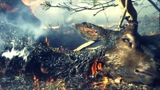 Holy Machine - No Man's Land Anthem (Music Video)