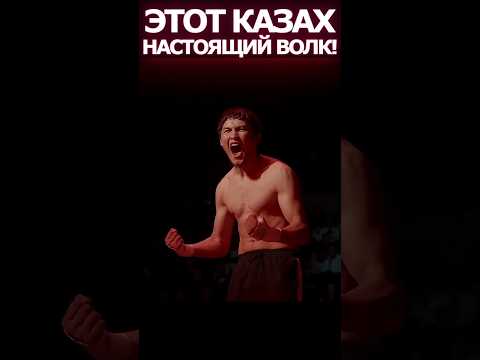 ЭТОТ КАЗАХ НАСТОЯЩИЙ ВОЛК! 🇰🇿 #файтинг #boxing #бой #mma #fighting #knockout #бои #мма #бой