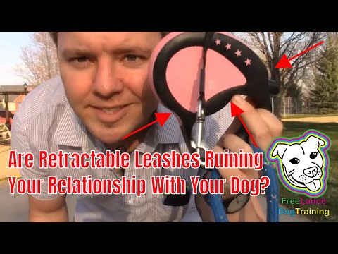 Retractable Leashes | Why Retractable Leashes Are Ruining Your Walks