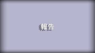 報告