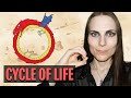 The Ouroboros - Symbol of the Cycle of Life