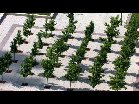 image-What is design process in landscape architecture?