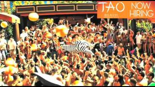 NOW HIRING TAO BEACH 2012