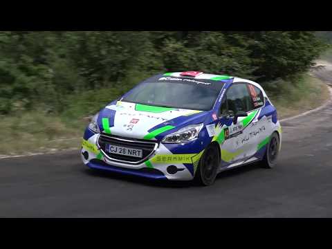 2018 Atış Yapı Yeşil Bursa Rallisi / Erkan Güral - Burak Koçoğlu / Peugeot 208 R2
