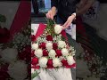 Layed Roses