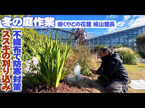 寒さや霜から木を守るために冬のベールを掛けるにはどうすればよいですか？  庭園