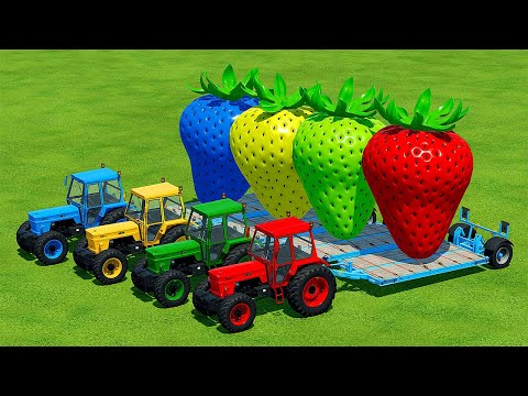 TRANSPORT GIANT COLORED STRAWBERRY WITH FIAT TRACTORS - Farming Simulator 22