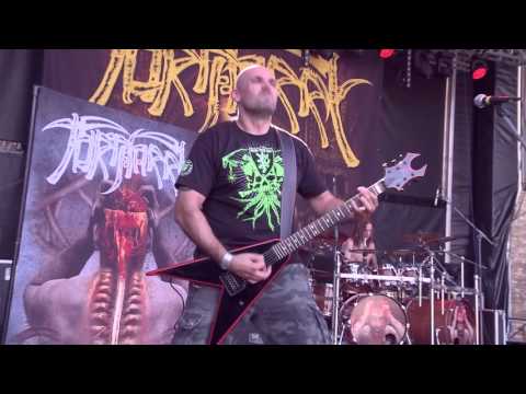 Tortharry - Brutal Assault 2015