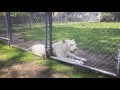 Alabama Gulf Coast Zoo