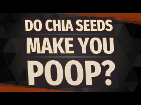 download lagu mp3 mp4 Will Chia Seeds Make Me Poop, download lagu Will Chia Seeds Make Me Poop gratis, unduh video klip Will Chia Seeds Make Me Poop
