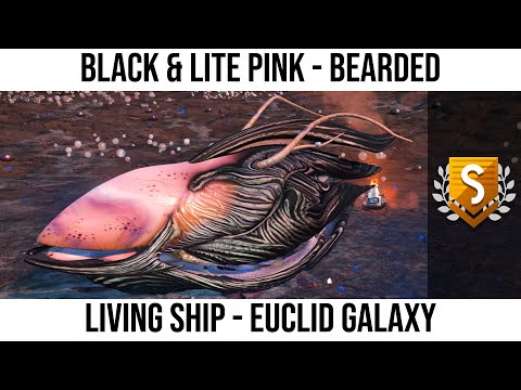 No Man's Sky | Living Ship: Black & Lite Pink Bearded With Short Arms & Triple Thrusters - Euclid