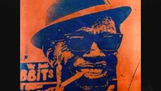 LIGHTNIN' HOPKINS ~ HEAVY SNOW