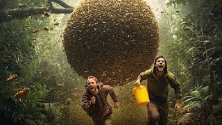 Three Men vs. a Giant Bee Colony – Painful Ending Covered in Stings