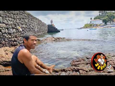 FAVELA E O PESCADOR PEIXE FRESCO O PAI Ó.