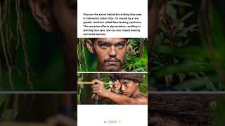 Download lagu This Indonesian Tribe Has Naturally Blue Eyes — The Genetic Reason Is Wild 👁️🧬 mp3 Download lagu This Indonesian Tribe Has Naturally Blue Eyes — The Genetic Reason Is Wild 👁️🧬 mp3