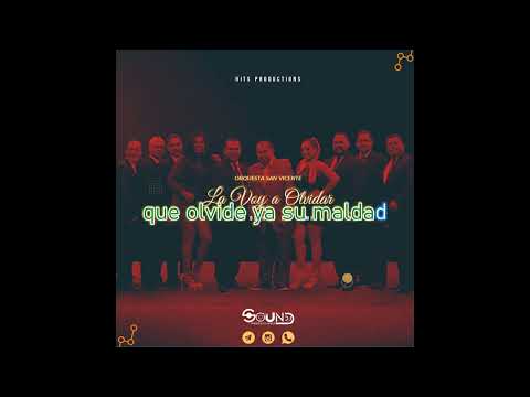 La voy a olvidar Orquesta San Vicente Karaoke