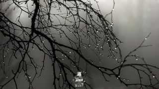 Bài hát 雨/ Ame/ Rain (From Up On Poppy Hill OST) - Nghệ sĩ trình bày Aoi Teshima / 手嶌葵