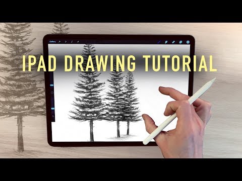 Ipad drawing tutorial - how to draw a pine tree