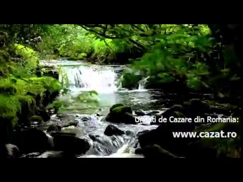 Cazare Idiciu, Mures - Cazat.ro