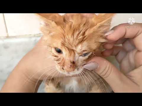 الحمد لله ربي يقدرنا على فعل الخير 😍🐈❤️