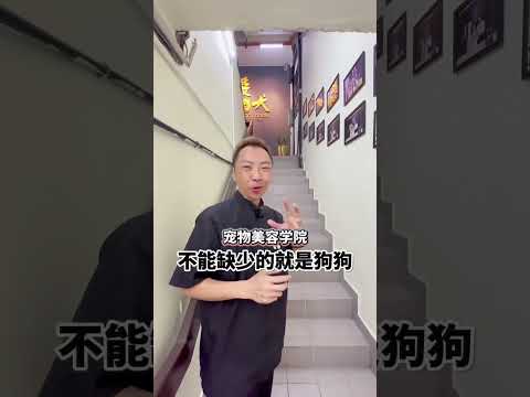 Doggy Doge Grooming Academy