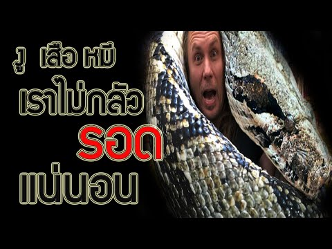 เที่ยวป่า