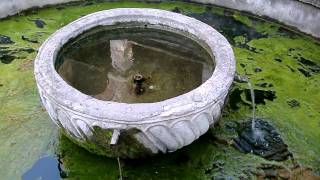 Fountain at Kurshumli An (Skopje, Republic of Macedonia)