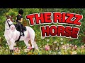 Where Are The American Paint Horses In Sso
