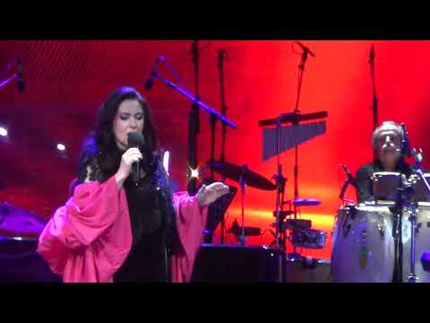 კინტო, ჰავა ნაგილა, მრავალჟამიერი (მეორე დღე), თამარ გვერდწითელი, 2025