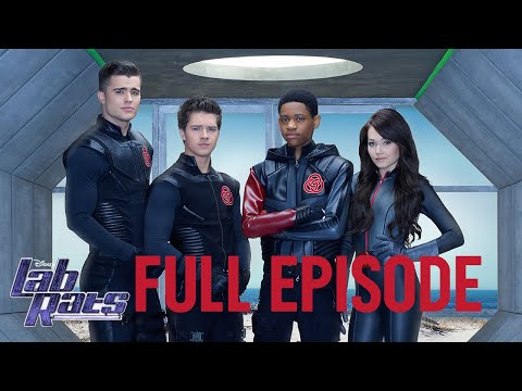 YouTube video about: Where can I watch lab rats for free?