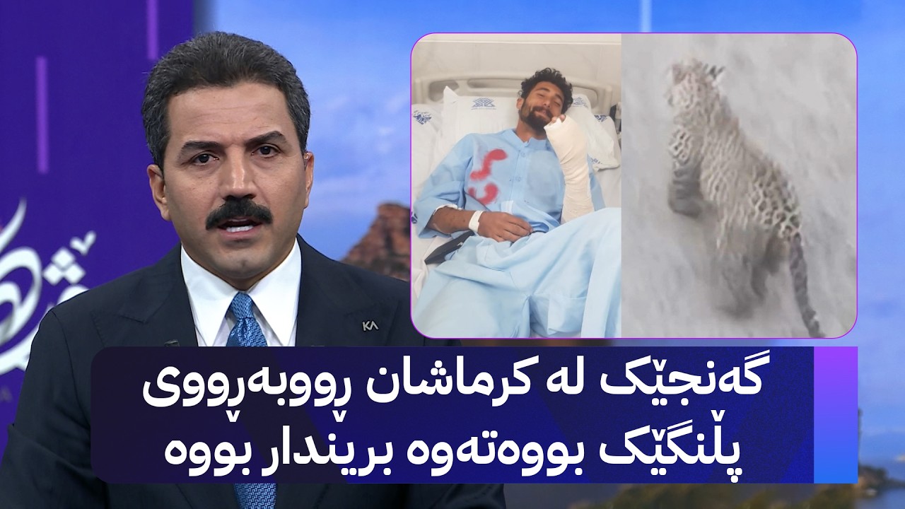 ڤیدیۆ | گەنجێک لە کرماشان ڕووبەڕووی پڵنگێک بووەتەوە بریندار بووە
