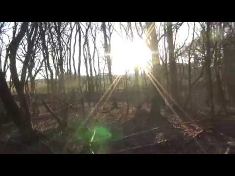 Lige lidt om verdens situationen, det politiske landskab - Læs mere i beskrivelse