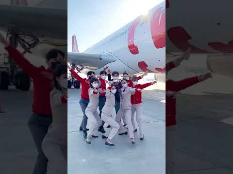 ✈️❤️💚 #티웨이항공 #승무원 #티웨이대형항공기 #a330 #지구방위대