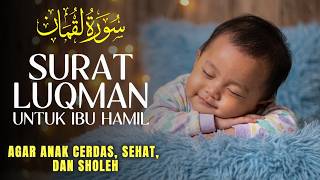 Download lagu Surat LUQMAN untuk Ibu HAMIL | Doa Memohon Anak Laki-Laki & Keturunan Shalih | Ahmad Al Shalabi mp3