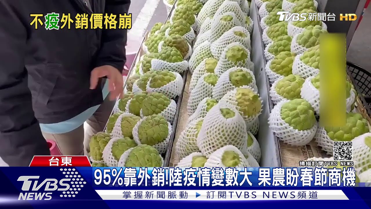 疫情難通關！台東「鳳梨釋迦」外銷陷寒冬