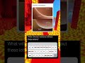 INSANELY FUNNY MEMES 259